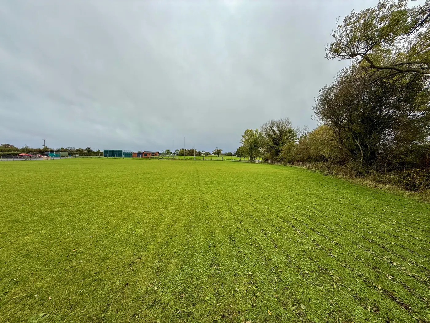 Open grass camping field bordered by trees
